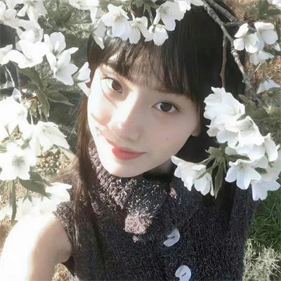 庐山假面目